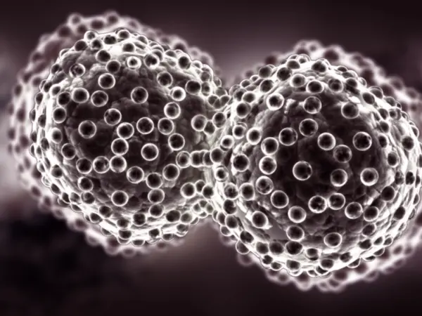 Stem cell mobilizers