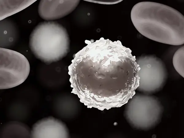 Granulocyte colony stimulating factors