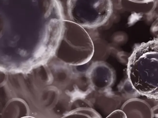 Checkpoint inhibitors