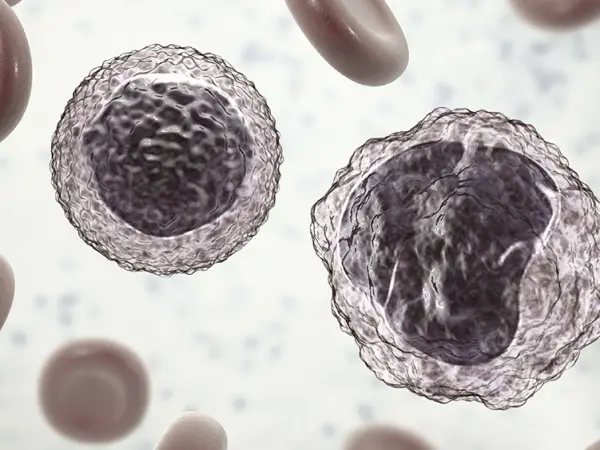 Nuclear export inhibitors