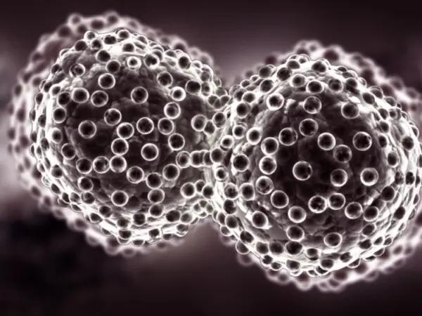 Stem cell mobilizers