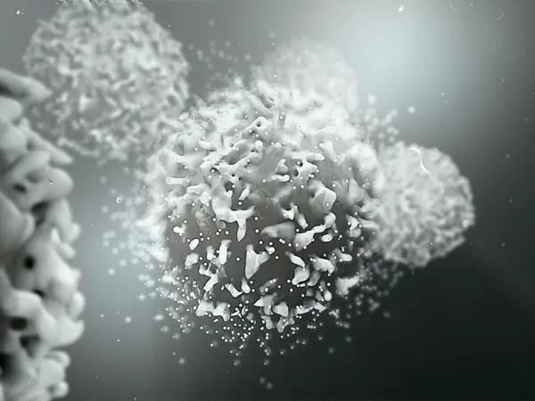 Hedgehog pathway inhibitors