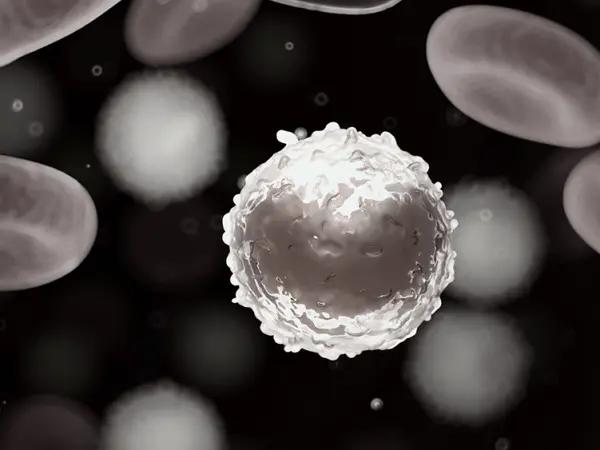 Granulocyte colony stimulating factors