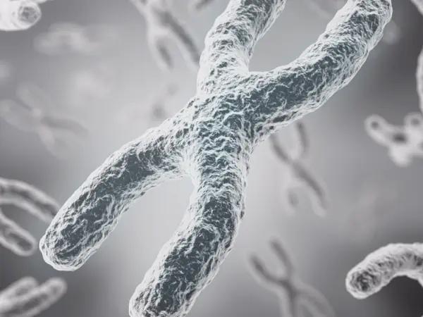 Chromosomal aberrations