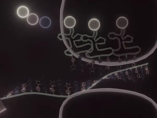 Protein translation inhibitors