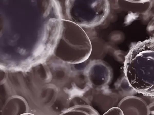 Checkpoint inhibitors