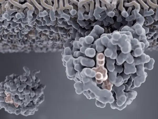 Farnesyltransferase inhibitors