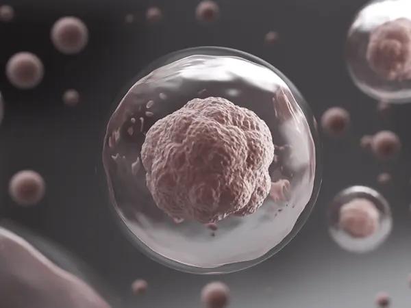 Proteasome inhibitors